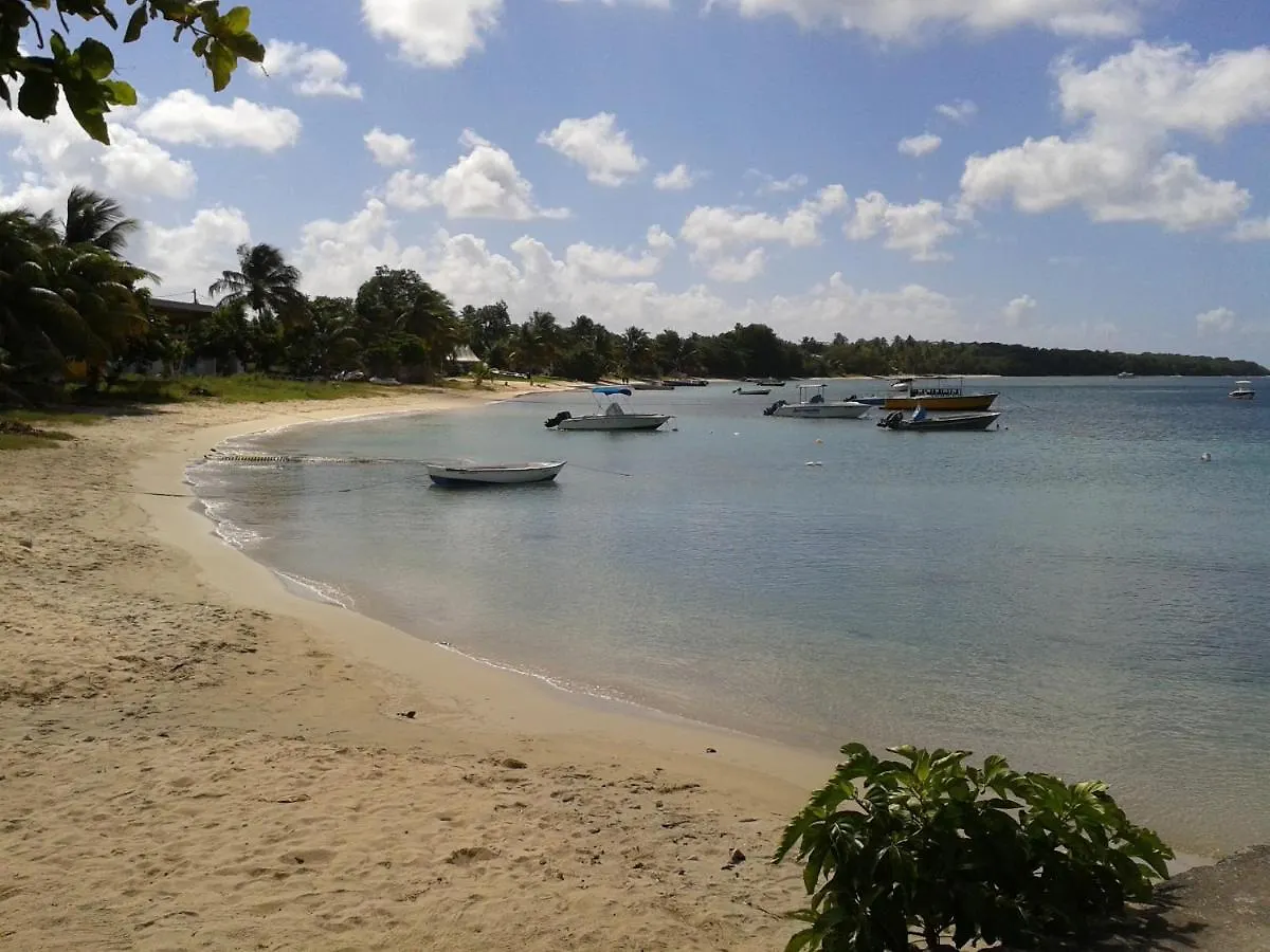 Le Temps D'Une Ile Grand-Bourg  Guadeloupe